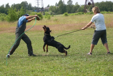 Training in Estonia 6/2007